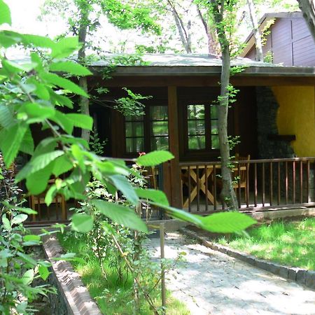 Dolunay Fanizan Hotel Fatsa Zewnętrze zdjęcie