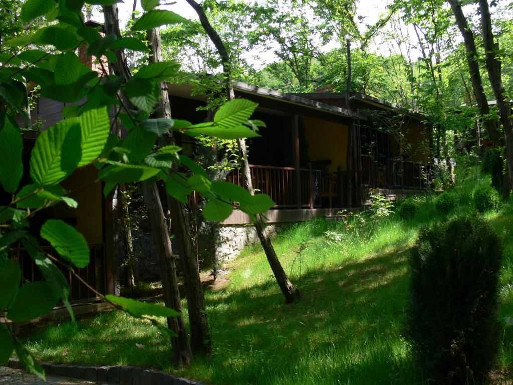 Dolunay Fanizan Hotel Fatsa Pokój zdjęcie